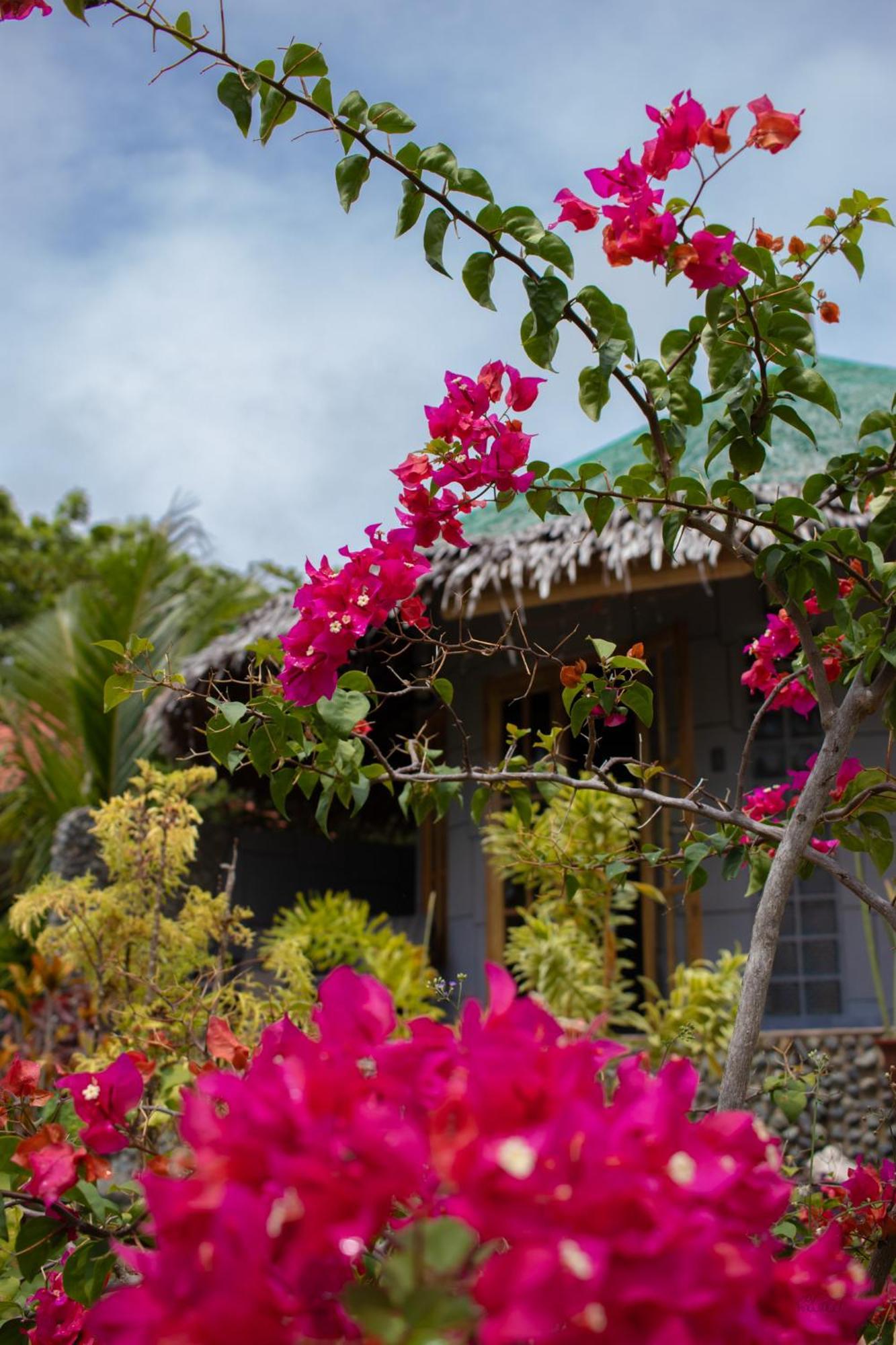 Rhenmart-Inn Siquijor Exterior photo